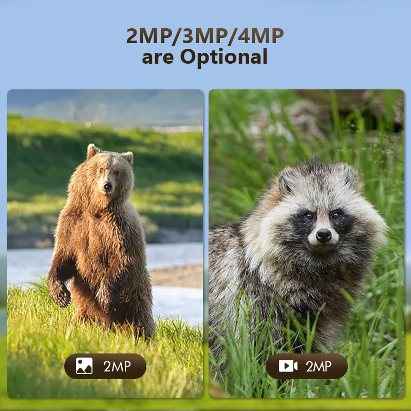 4G 4MP Outdoor Wildlife Huntin – Hunting Outdoor Game Bewertung und Preis